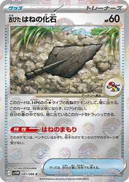 Antique Plume Fossil #sv11W 081