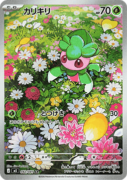 Fomantis #m5 082