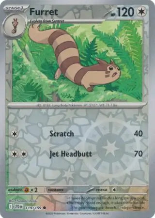 Furret #JTG 119